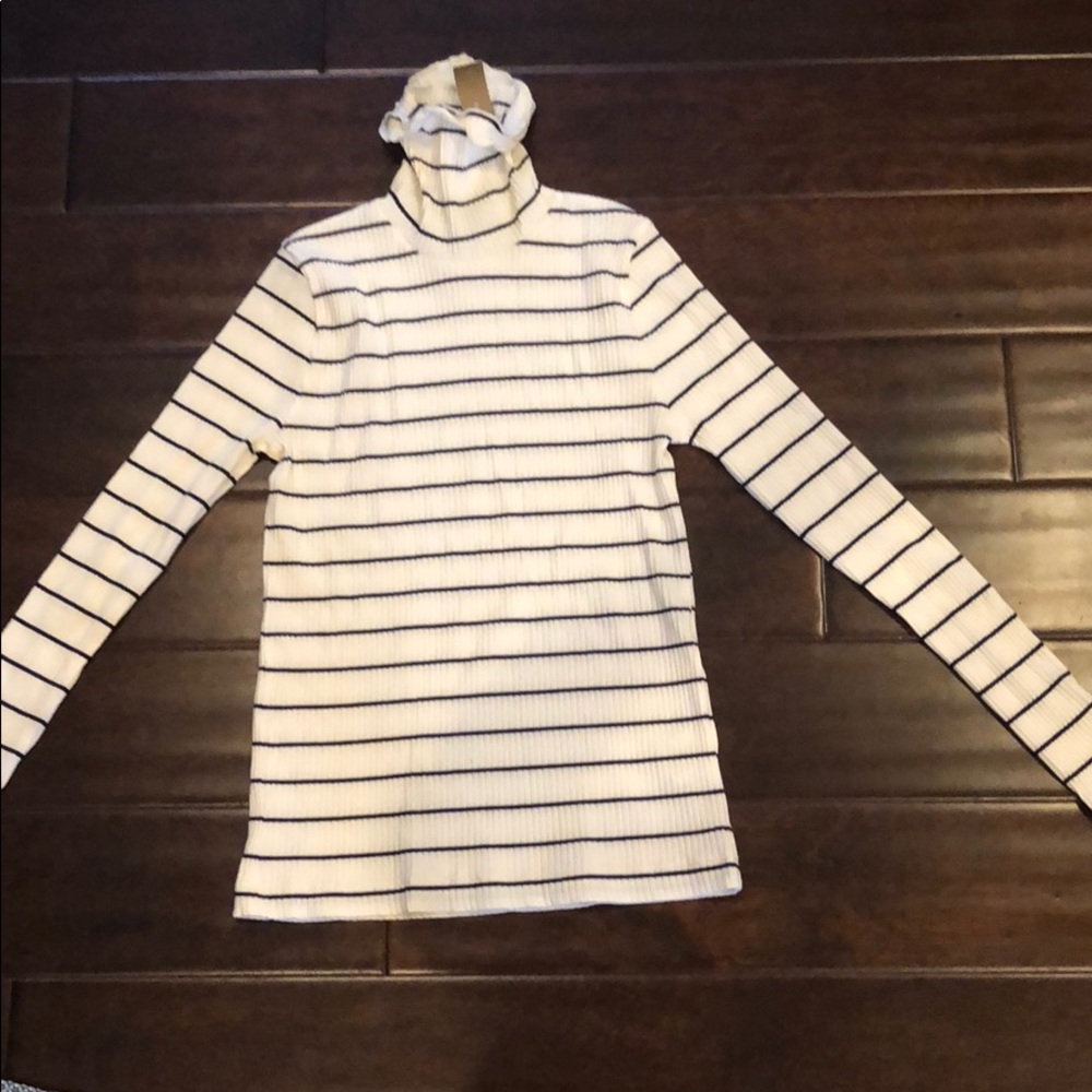 Striped Turtleneck